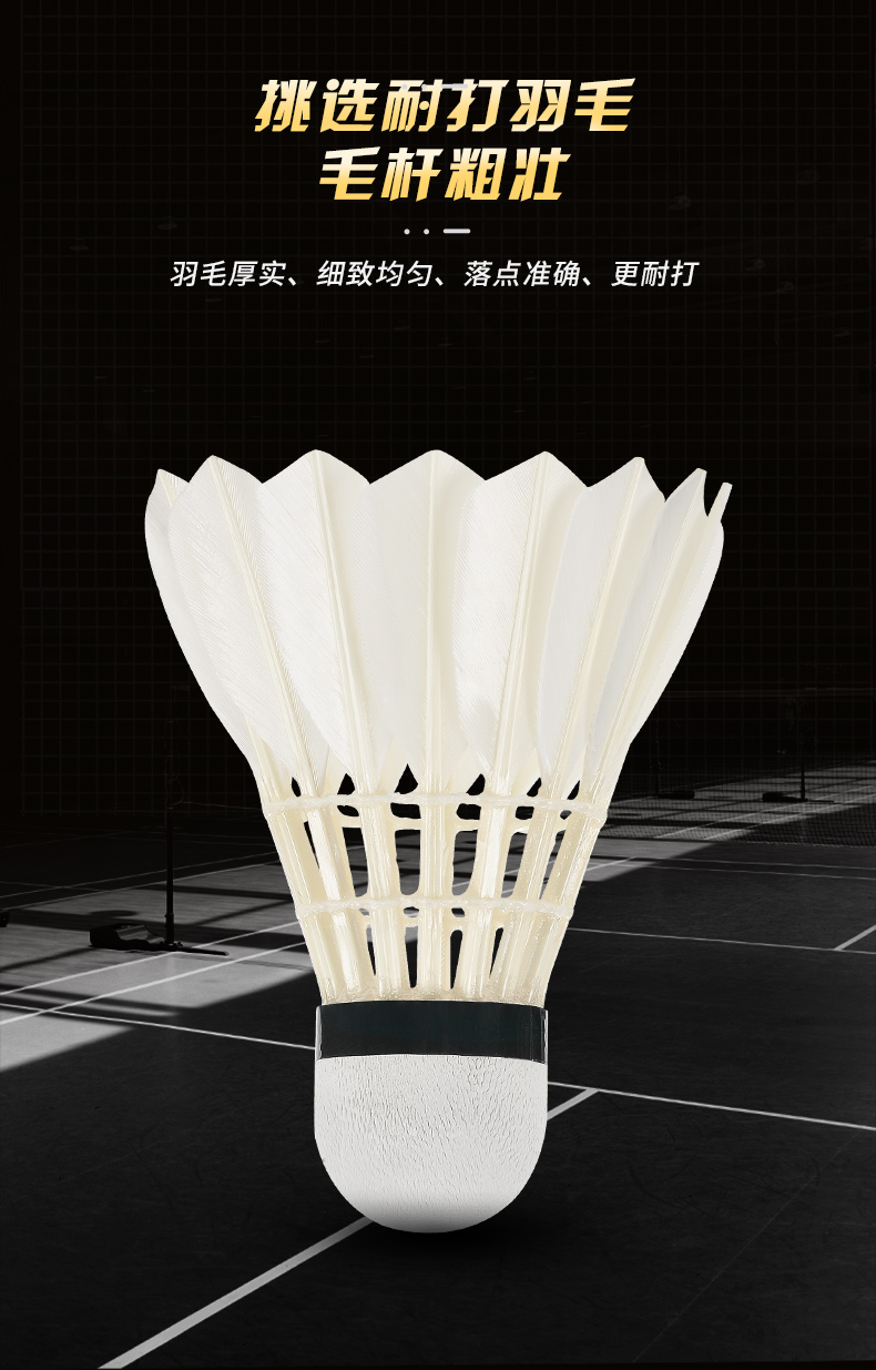 New 12PCS Professional Badmint – обзор и цена Badminton Victor