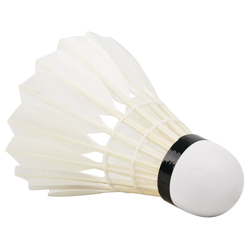New 12PCS Professional Badmint – обзор и цена Badminton Victor